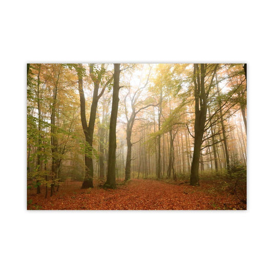Nebelwald